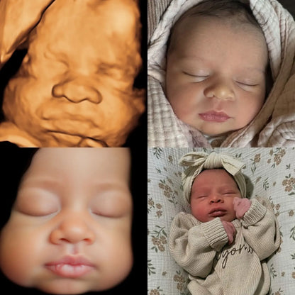 Cherished Memory Bundle